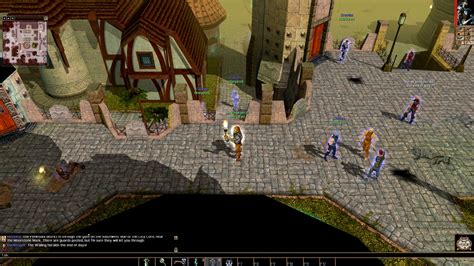 Neverwinter Nights: Un'Epopea di Fantasia e Scelte Libere!